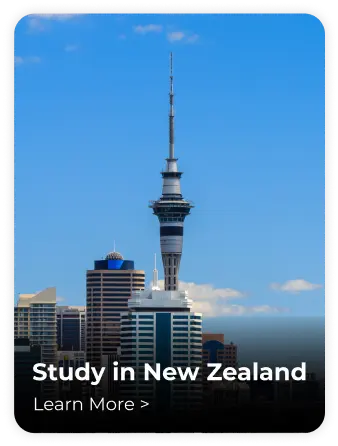 Study-in-New-Zealand